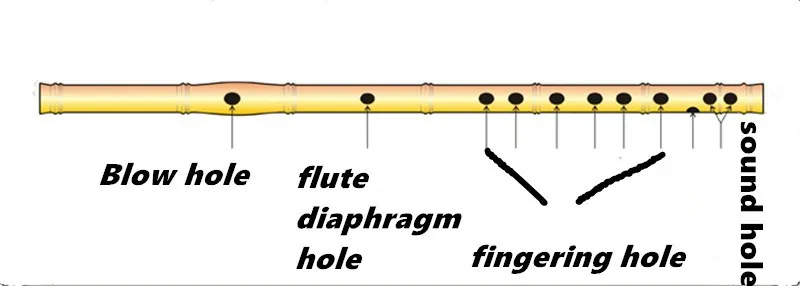 HTB1yvP3IFXXXXajXFXXq6xXFXXXJ