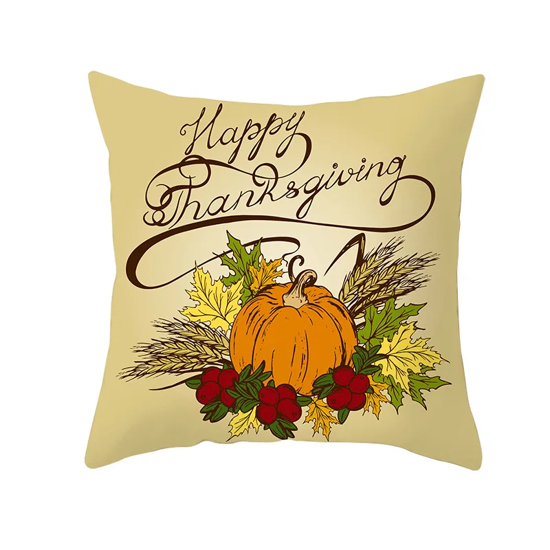 11230839268_1484136093