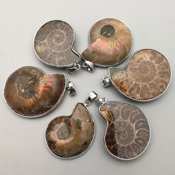 

Fashion natural Ammonite stone Snail Pendants & necklaces charms 6pcs for Jewelry making Reliquiae Fossils Necklace accessories