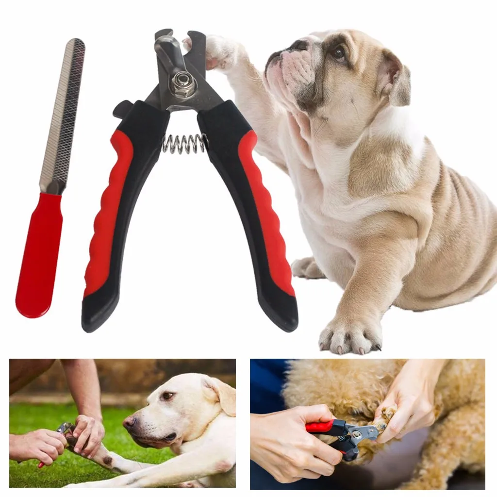 High Quality Professional Claw Scissors Claw Pliers for Dog& Cat Claw Clippers for Claw Care NEW Home Christmas products