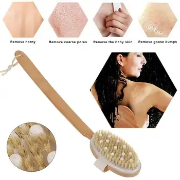 

Bathroom Body Brushes Long Handle Bath Natural Bristles Brushes Exfoliating Massager With Wooden Handle Dry Brushing Shower Tool