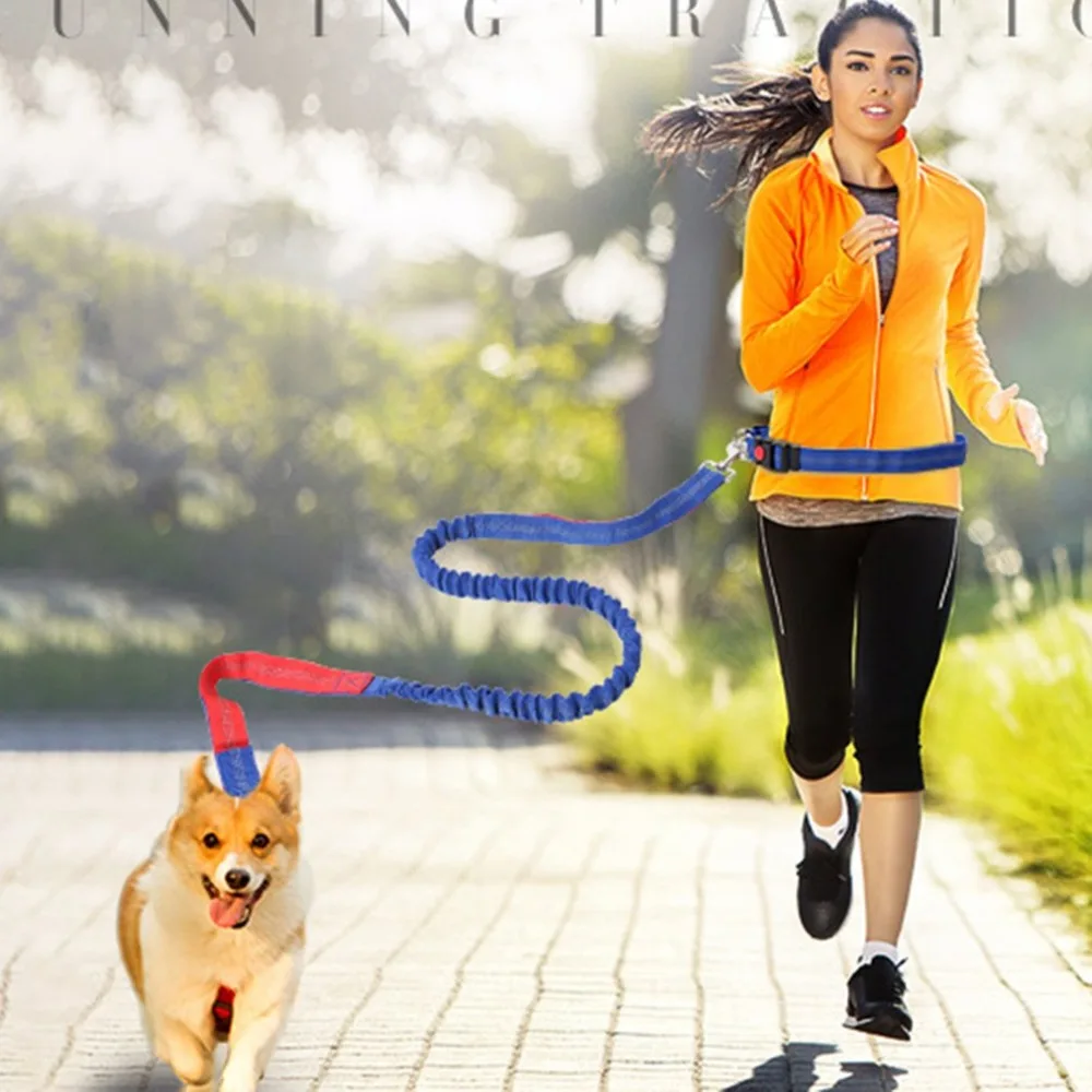 Exquisitely Designed Durable 50226 Anti-rushing Retractable Elastic Nylon Pet Dog Running Traction Rope