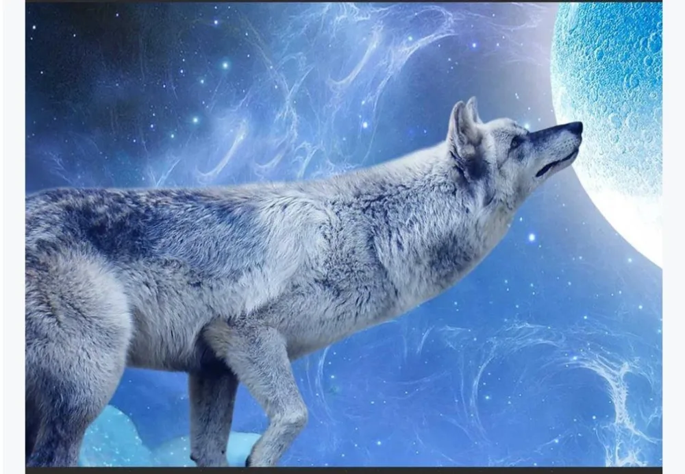 360截图20200302141830818