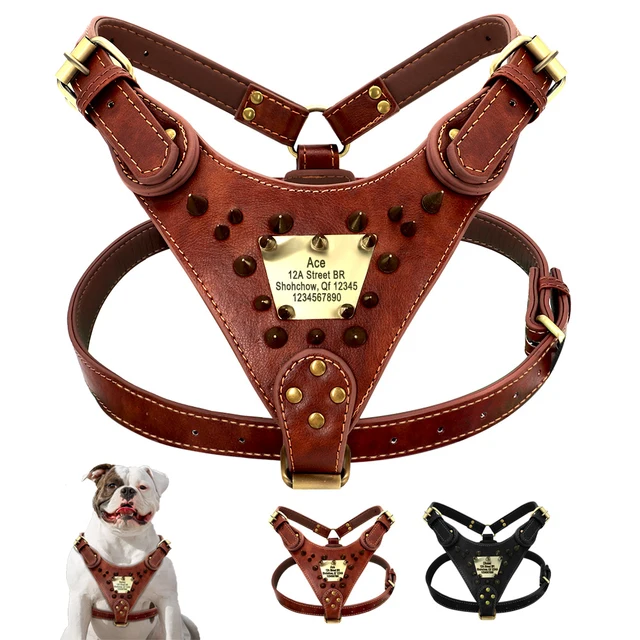 Spiked Dog Collars Pitbull Collars And Harnesses Dog Harness