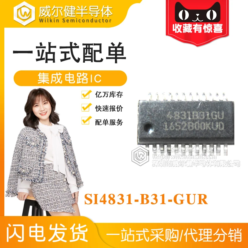

Бесплатная доставка SI4831-B31-GUR SSOP24 4831B31GU 10 шт.