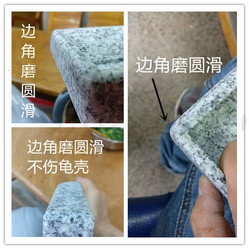 Stone Tortoise Reptiles Drinking Plate Drinking Basin Stone Basin Eating Basin Water Plate Climbing Pot Spider Snake Tree Frog