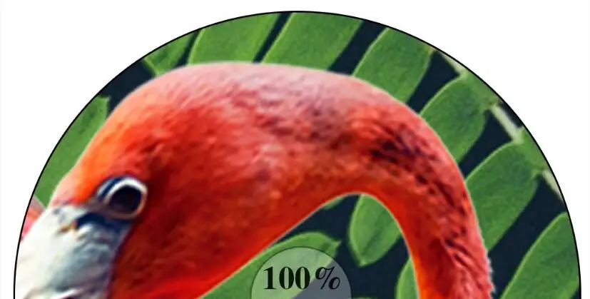 QQ截图20200331141024