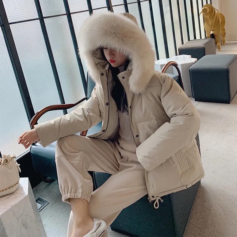 

Photo Shoot 2019 Winter Online Celebrity Students Short down Jacket Women's CHIC College Style Thick Loose And Plus-sized Cotton