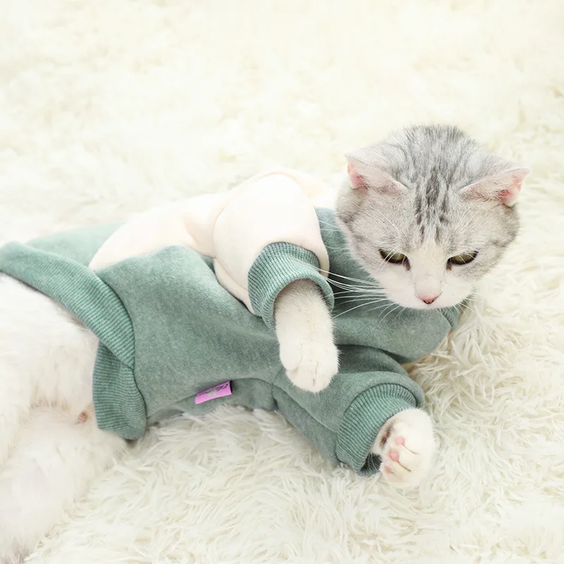 Одежда для домашних животных; Одежда для собак; одежда для Йоркских кошек; одежда Teddy; милая Толстовка для собак; зимняя одежда для собак