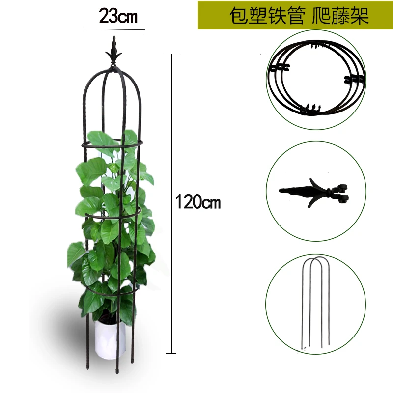 Climbing Vine Bracket Botany Arbor Chinese Rose Clematis Lotus Climb Group Close Flower Rack Balcony Support Frame