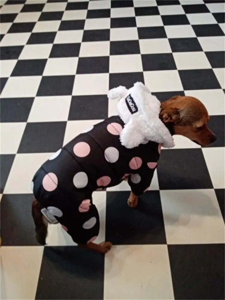 U6cd0028f6852463c9448954daba544caO