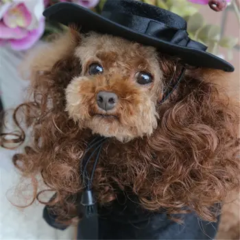 

Cat Dog Pet Cloak Costumes Wig Hat French Bulldog Cloaks Mantle Pet Puppy Product Pitbull Christmas Halloween For Cat Supplies