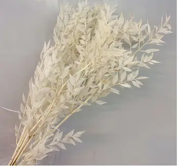 

50gram/lot natrual dried flower bamboo leaf DIY material