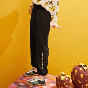 

HDY Haoduoyi 2020 Spring New Fashion Embroidery Loose Velvet Beam leg Thin Leisure Harem Plus size Women's Pants