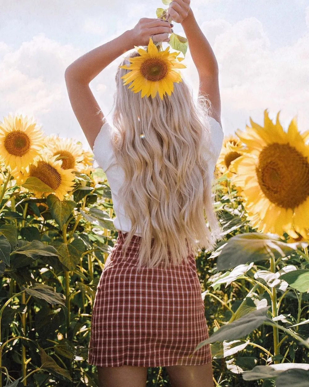 15469767049_366573953