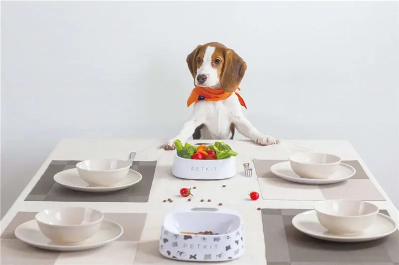 Petkit кормушка для домашних животных Водонепроницаемый Антибактериальный кормушка для собак и кошек Умный Цифровой точный вес кормушка для домашних животных товары для питомцев от xiaomiyoupin