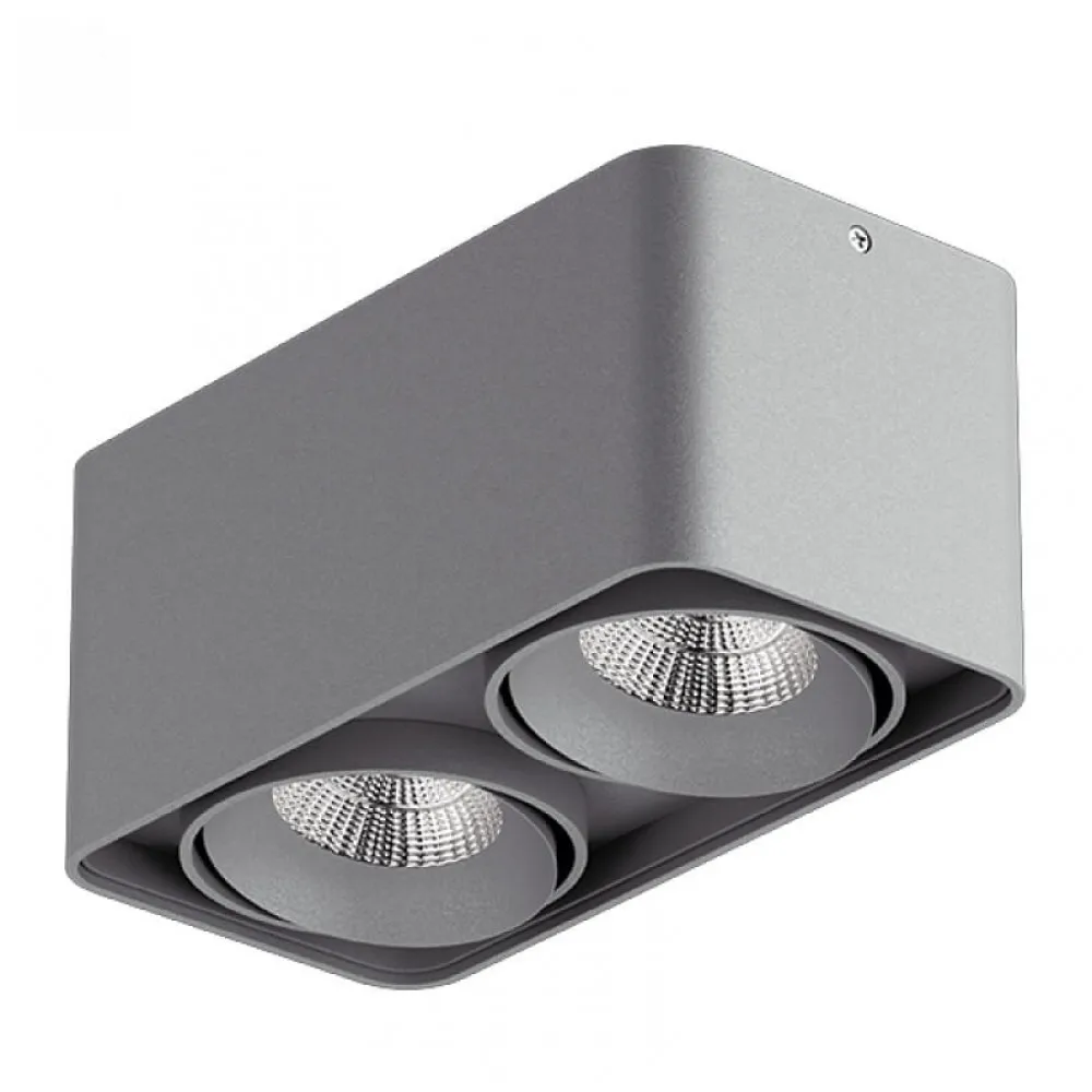 Светильник Lightstar Monocco 212529