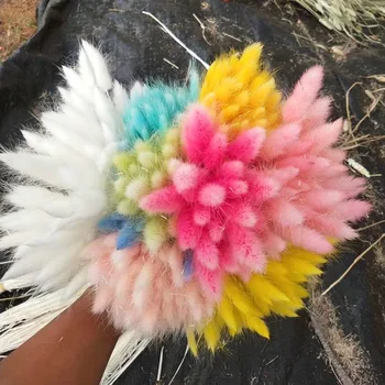 

60pcs/lot Wedding Decor Natural Dried Flowers Colorful Flower Bouquet for Rabbit Tail Grass Bunch Home Artificial Decoration