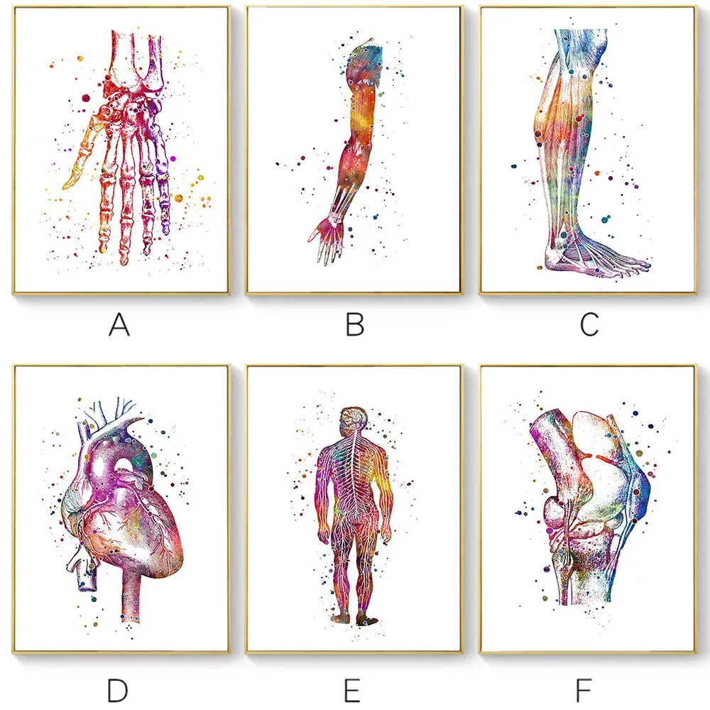 Абстрактный анатомический плакат скандинавский холст настенная Художественная