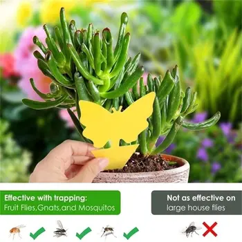 

Butterfly Flower Type Sticky Insect Board Fruit Fly Fungus Gnats Insect Dual Sided Catcher Plant For Aphids Strong Glue Control