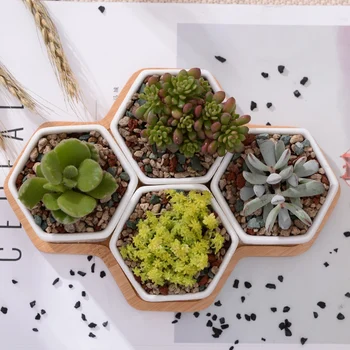 

Ceramic Flower Pot Small Hexagon Flower Pot + Bamboo Holder Garden Flower Pots Planters For Home Garden Decor Supplies
