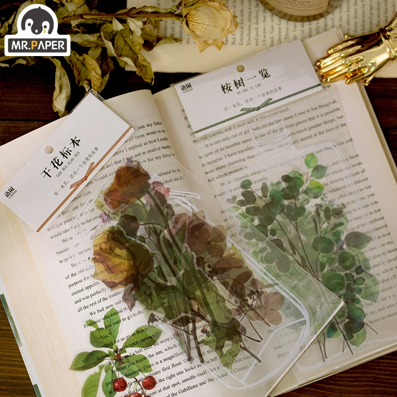 

Mr.Paper 8 Designs Stickers Natural Plants Mushroom Maple Leaf Dried Flower Fruit Pine Cypress Dead Branch Specimen Deco Sticker