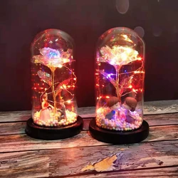 Novel and Funny Toy Glass Cover Luminous Rose Eternal Flower Tabletop Decoration Christmas Valentine's Day Gift for Girl Friend