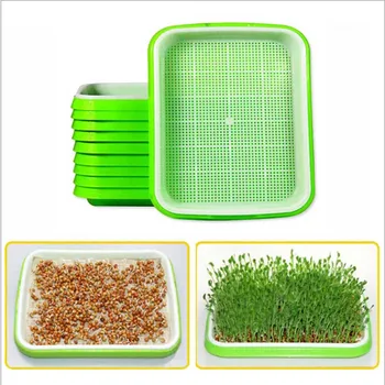 

Soilless Culture Beans Hydroponics Seed Germination Tray Seedling Sprout Plate Grow Nursery Pots Vegetable sprouting Trays tools