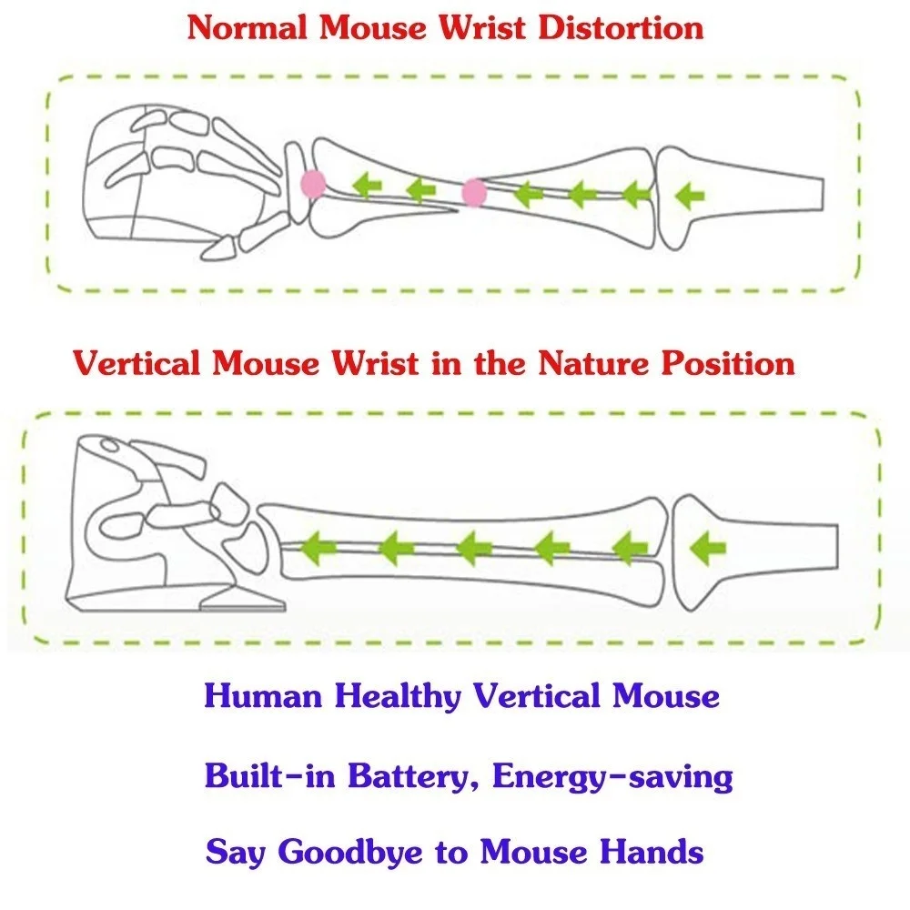 mouse vertical