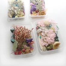1 коробка настоящие сухие цветы сухие растения для ароматерапии свеча эпоксидная смола для создания ожерелья и кулона ремесло сушеный цветок DIY материал