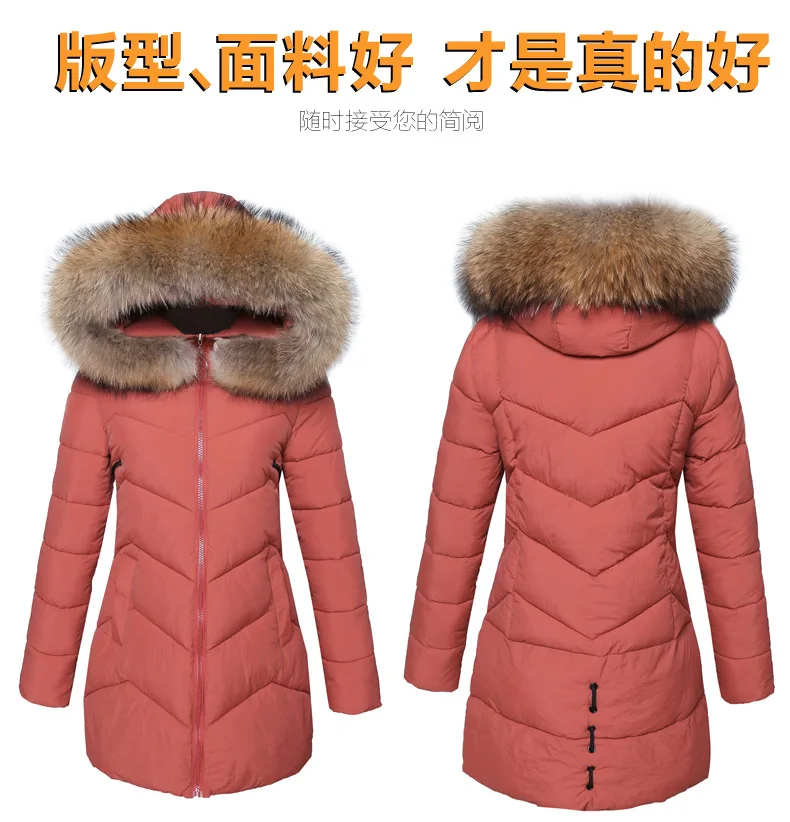 Осень стиль Женская хлопковая стеганая куртка AliExpress EBay