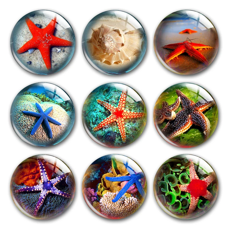 未标题  800x800-1