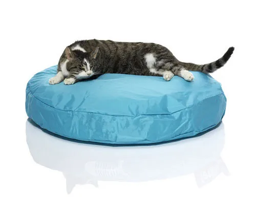 aqua blue Кошка beanbag кровати, непромокаемый бобовый мешок pet bean bag lounge - Цвет: aqua blue