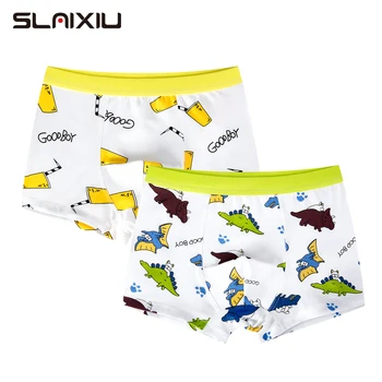 

2Pcs/Lot Children's Teenager Underwear Colorful Boys Shorts Panties Soft Organic Cotton Baby Boy Stripes Kids Underwear 2-16y