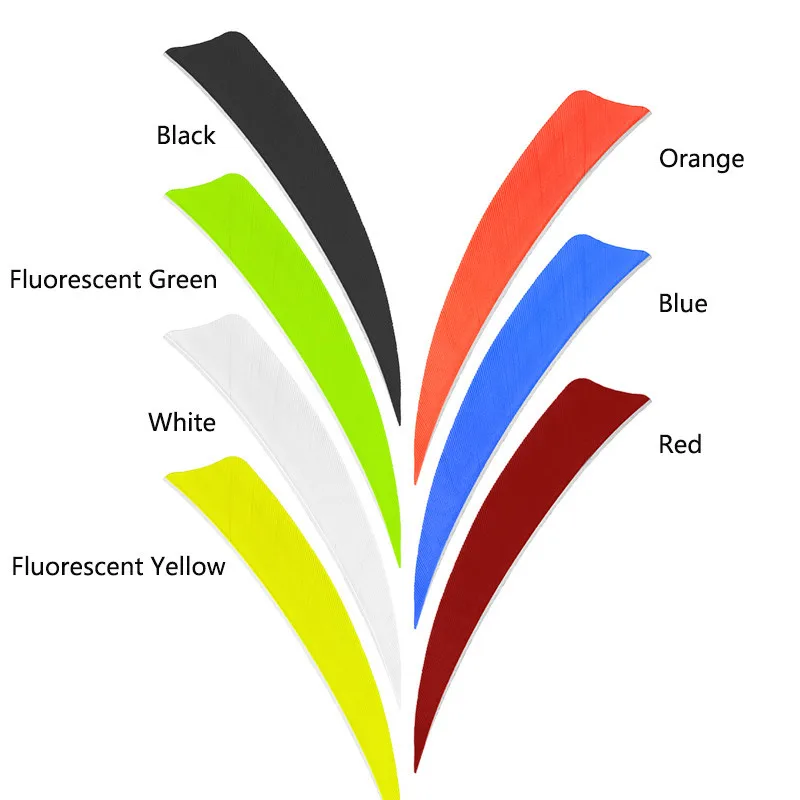 303557_no-logo_303557-1-02-g