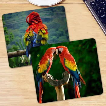 

Bird Parrot Mouse Pad For Keyboard Computer PC Natural Rubber Office Gaming Gamer Carpet Mice Mat Desk Mousepad