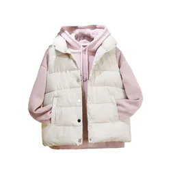 2021 outono/inverno feminino cor sólida solto colete para baixo jaqueta de algodão jaqueta de algodão acolchoado feminino à prova de vento colete quente