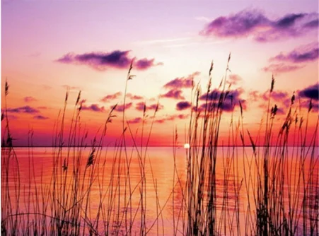 QQ截图20200522114818