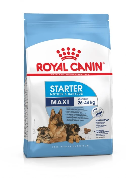 royal canin starter 4 kg