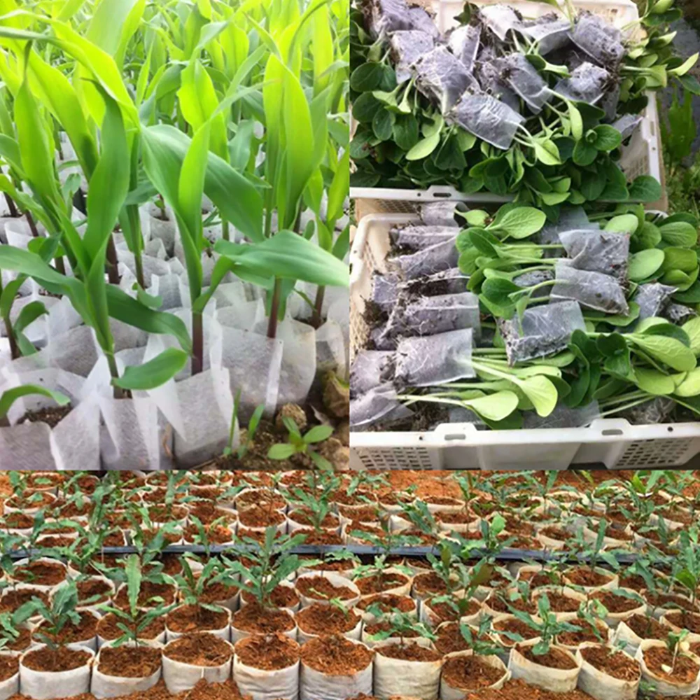 HTB1b52AeMaH3KVjSZFjq6AFWpXaQ