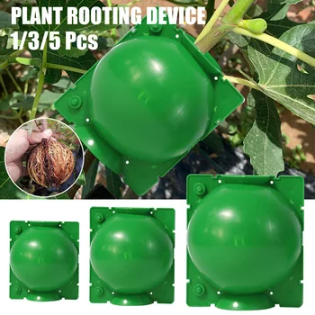 

5PCS Plant Root Growing Box High Pressure Gardening Plant Root Ball Breeding Case for Garden Grafting Rooting Plant Box