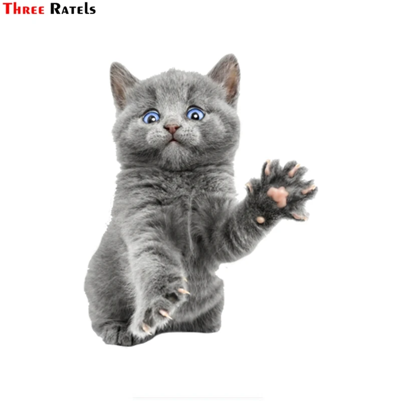 

Three ratels FTC-672# 14X17.6CM surprise cat kitty Car Stickers on Motorcycle DIY Vinyl Decal Sticker Bomb Car Styling