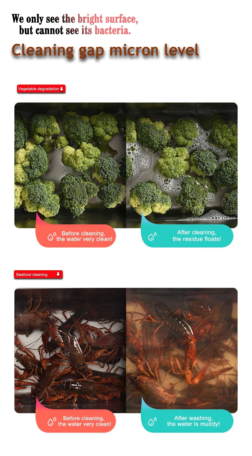 臭氧清洗蔬菜和海鲜