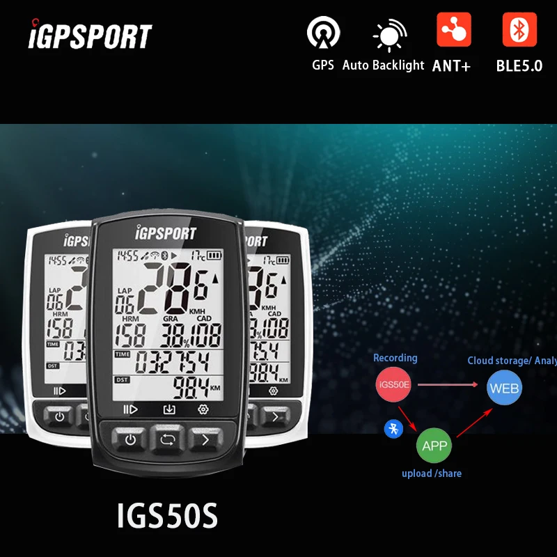 igs10 manual