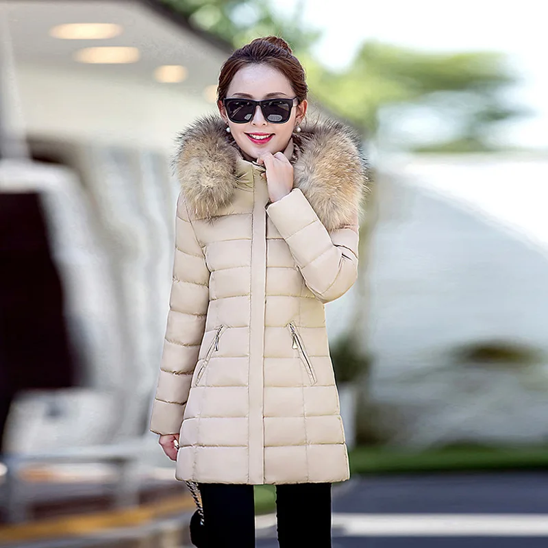 

Short-height Cotton-padded Clothes WOMEN'S Medium-sized 2019 Winter New Style Korean-style Slim Fit Versitile Fashion CHIC down