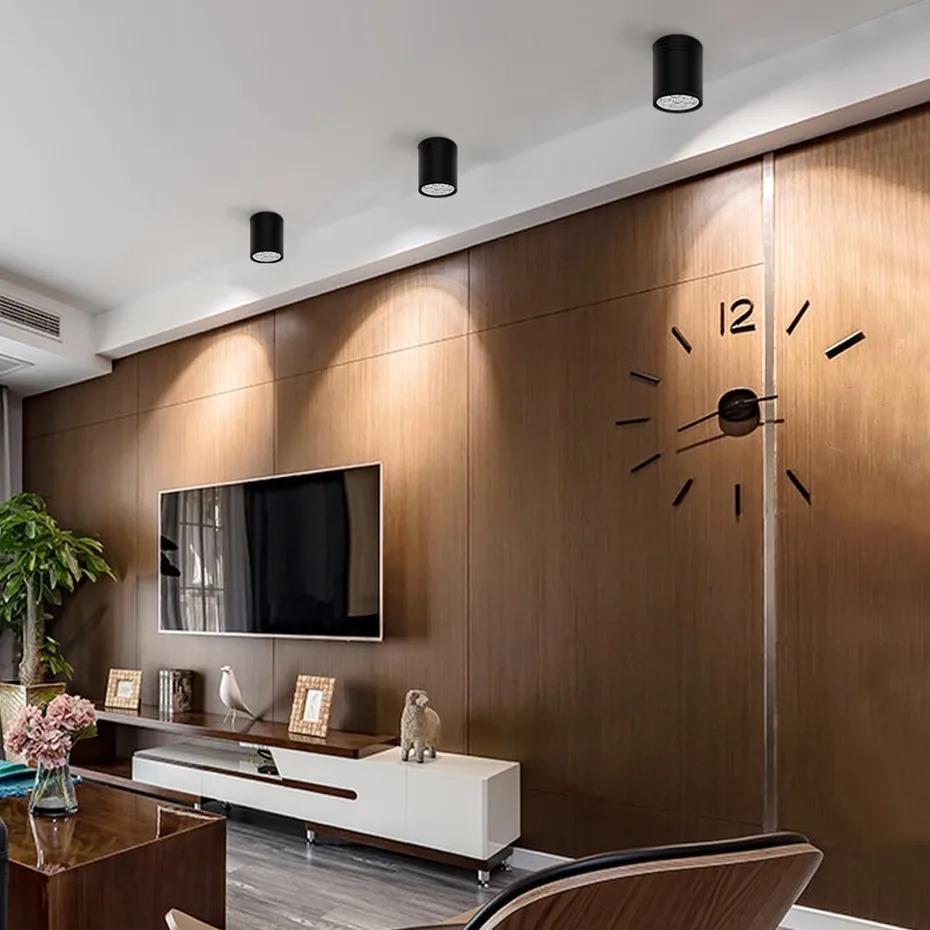 LED Downlights  (22)_副本