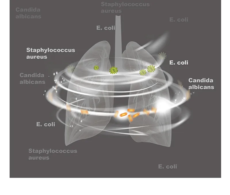 Батарея CPAP дезинфекция очиститель стерилизатор портативный сипап apap Авто CPAP BIPAP дезинфектор Вентилятор очиститель против храпа