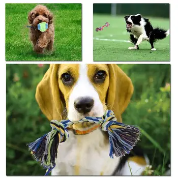 

7 Pack Pet Dog Toys For Large Small Dogs Ball Toothbrush Christmas Chew Toy Interactive For Dogs Dog Toys Accessories