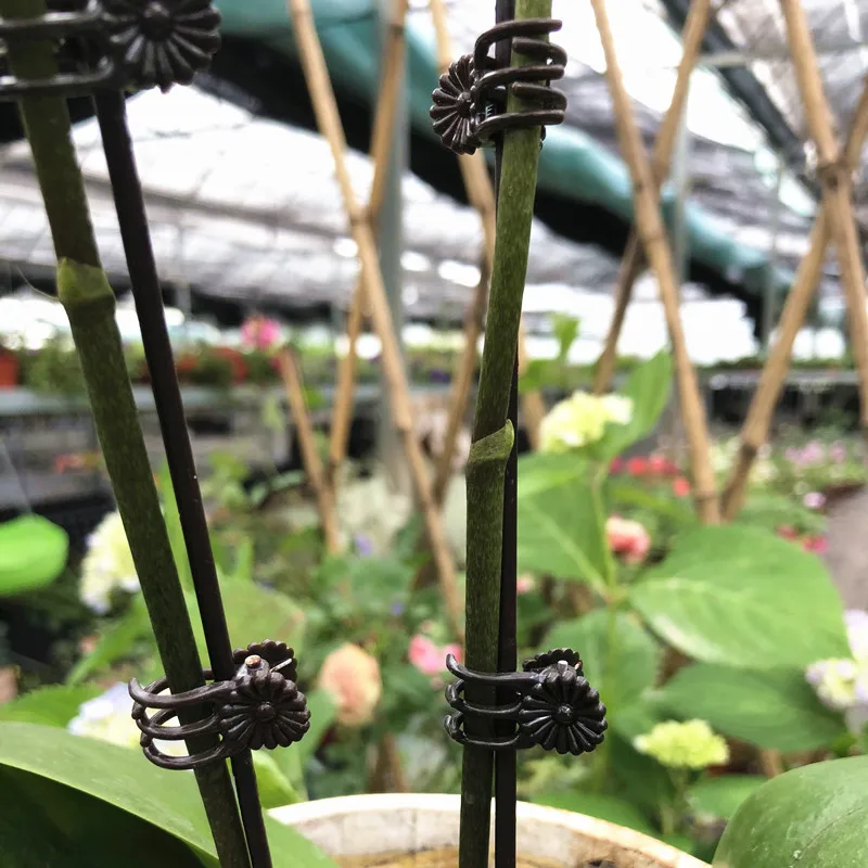 20pcs Plant Support Clips Garden Clips Flower Orchid Stem Clips for Vine Support Farm Flowers TomatoTied Bundle Branch Clamping