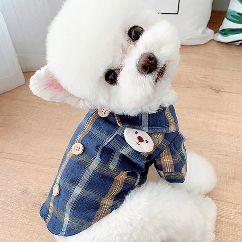Teddy dog shirts Clearance